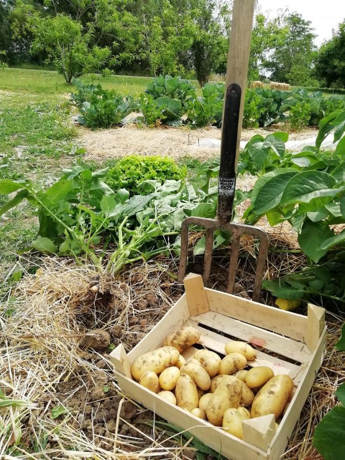 La Planche Princee, Chambres D'Hotes Ecolo Et Potager Bio, Sauna Les Rosiers Buitenkant foto